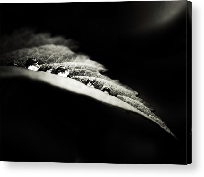 Low Key Acrylic Print featuring the photograph Perles Nocturnes by David Senechal Photographie (polydactyle)