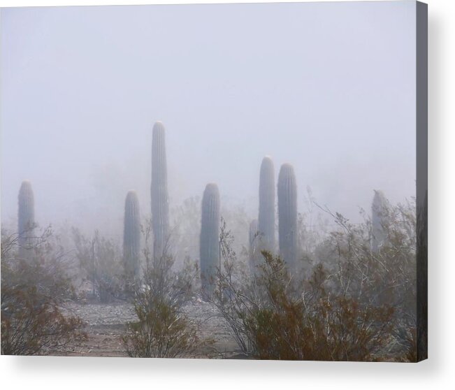Affordable Acrylic Print featuring the photograph Rare Desert Fog by Judy Kennedy
