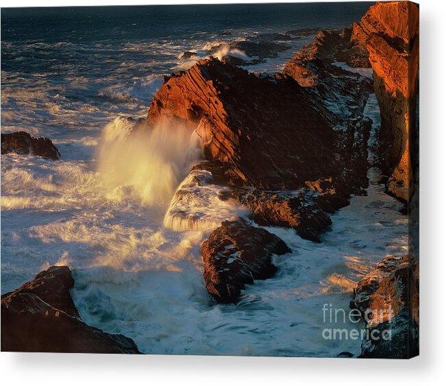 North America Landscape Acrylic Print featuring the photograph Sea Mount at Sunset Oregon Coast by Dave Welling