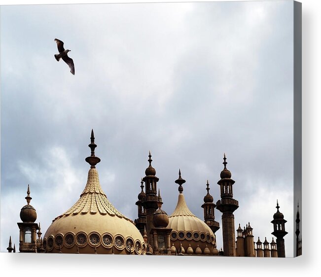Animal Themes Acrylic Print featuring the photograph Seagull And Brightonpavillion by Darren Lehane