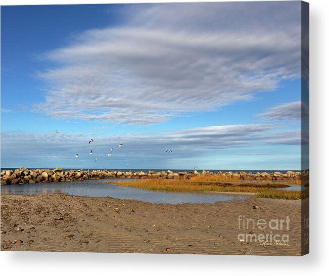 Shoreside Serenity Acrylic Print featuring the photograph Shoreside Serenity Cape Cod by Michelle Constantine