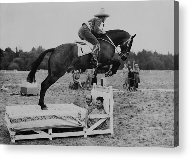 Horse Acrylic Print featuring the photograph Show Jumping Over A Bed At Colchester by Keystone-france