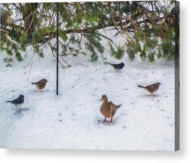 Winter Acrylic Print featuring the photograph Snowbirds by Cathy Kovarik