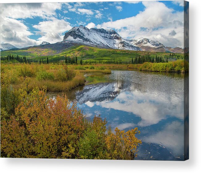 00575351 Acrylic Print featuring the photograph Sofa Mountain, Waterton Lakes by Tim Fitzharris