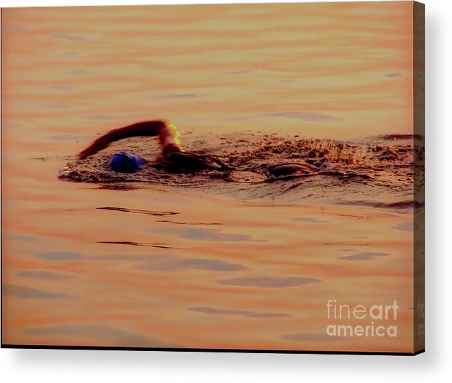Chicago Acrylic Print featuring the photograph Swimmer 1 Chicago Triathlon swimmer at sunrise Lake Michigan by Tom Jelen