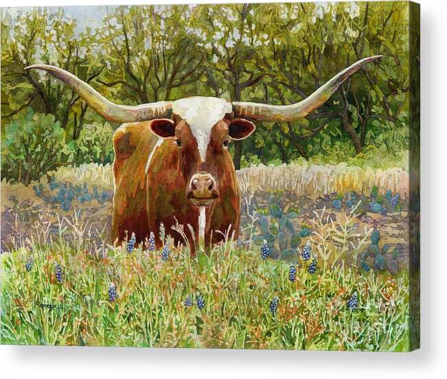 Longhorn Acrylic Print featuring the painting Texas Longhorn by Hailey E Herrera