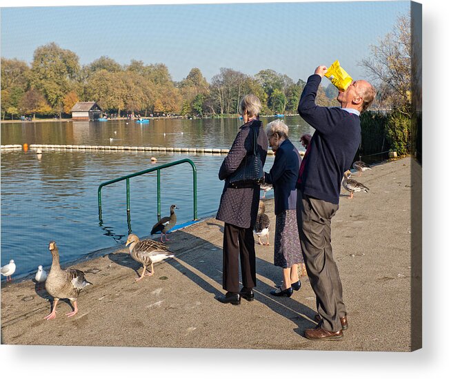 London Acrylic Print featuring the photograph The Duck Feeders by Lorenzo Grifantini
