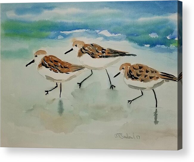 Plovers Acrylic Print featuring the painting Three birds at the beach by Ann Frederick