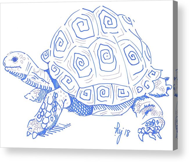  Acrylic Print featuring the drawing Tortoise drawing by Mike Jory