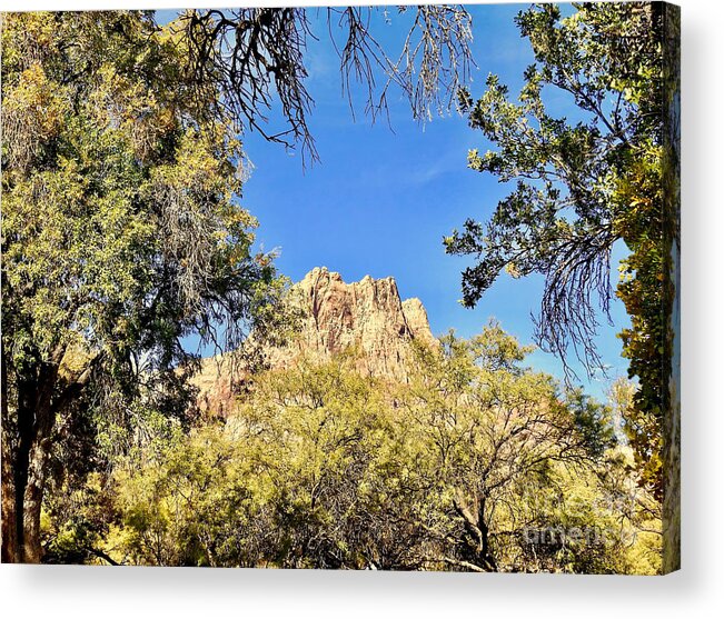 Trees Acrylic Print featuring the photograph Trees Framing Rocks by Beth Myer Photography