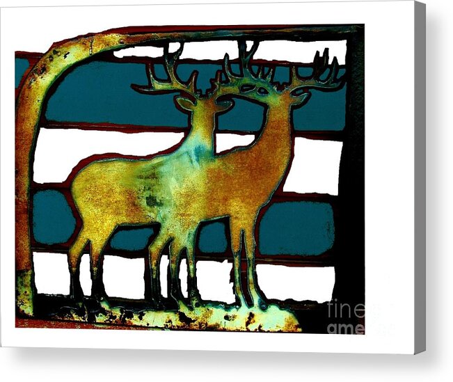 Buck Acrylic Print featuring the photograph Two Bucks 3 by Larry Campbell