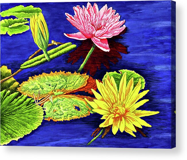 Water Lilies Acrylic Print featuring the painting Water Lilies IIi by Thelma Winter