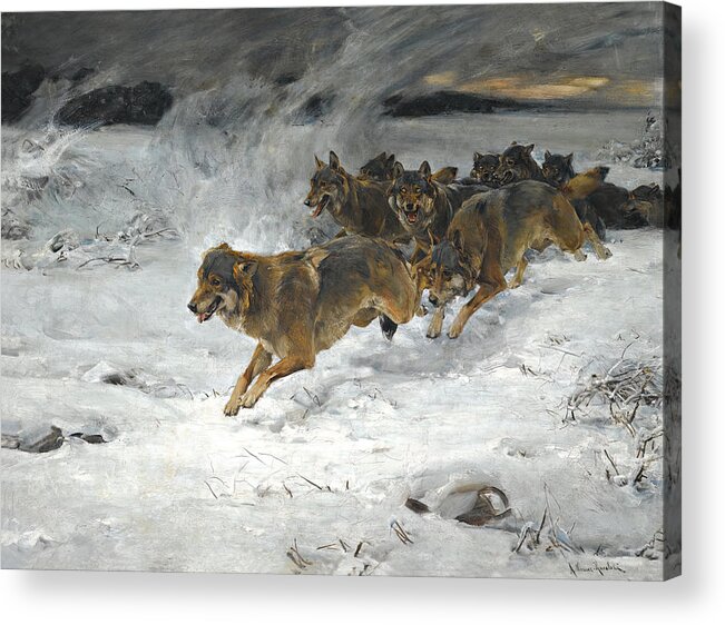 Wolf Acrylic Print featuring the painting A Pack Of Wolves #2 by Alfred Wierusz Kowalski