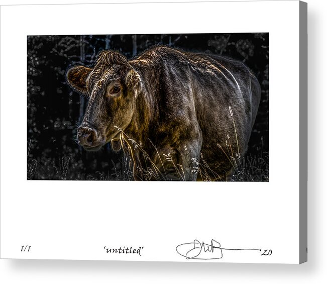 Signed Limited Edition Of 10 Acrylic Print featuring the digital art 23 by Jerald Blackstock