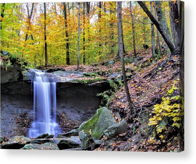  Acrylic Print featuring the photograph Blue Hen Falls by Brad Nellis