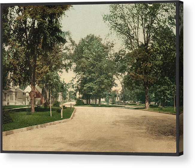 Antique Acrylic Print featuring the painting Detroit Belle Isle Forest Drive #3 by MotionAge Designs
