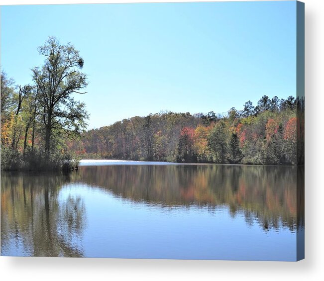 Pond Acrylic Print featuring the photograph A Bright Fall Pond by Ed Williams