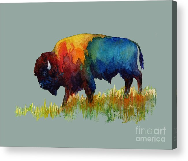 Bison Acrylic Print featuring the painting American Buffalo III-solid background by Hailey E Herrera