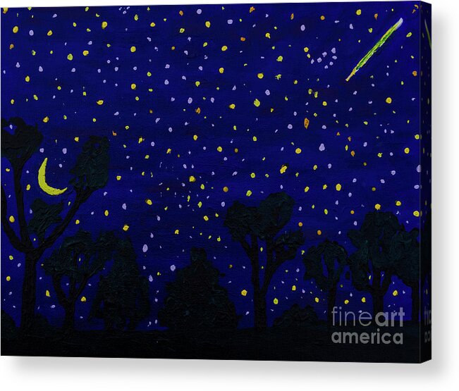 Stars Acrylic Print featuring the photograph Appalachian Starry Night with Meteor by Thomas R Fletcher