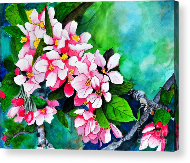 Apple Acrylic Print featuring the painting Apple Blossoms by John W Walker