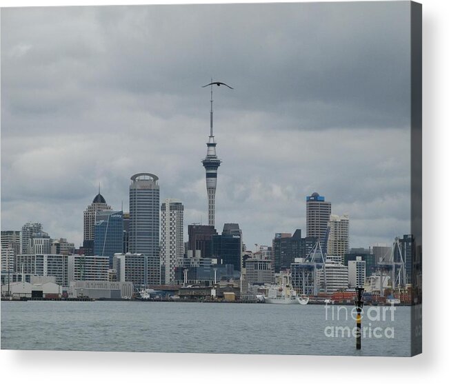 Australia Acrylic Print featuring the photograph Auckland Skyline by World Reflections By Sharon