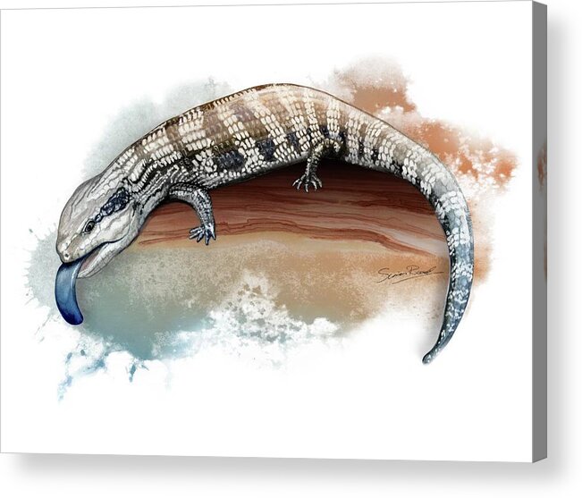Art Acrylic Print featuring the painting Australian Blue Tongue Lizard by Simon Read