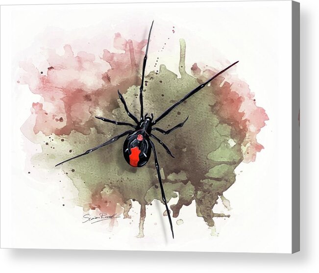 Art Acrylic Print featuring the painting Australian Redback Spider by Simon Read