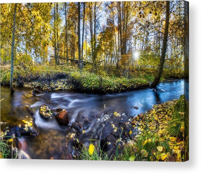 Autum Acrylic Print featuring the photograph Autumn Serenity by Mountain Dreams