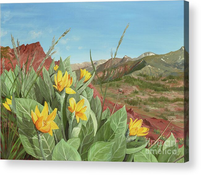 Pct Acrylic Print featuring the painting Balsamroot in Bloom by Elizabeth Mordensky