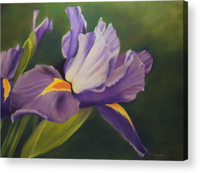 Floral Acrylic Print featuring the pastel Beauty Is In the Iris by Carol Corliss