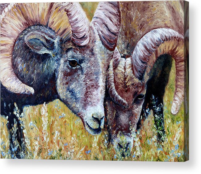 Big Horn Sheep Acrylic Print featuring the painting Bighorns by Bari Rhys
