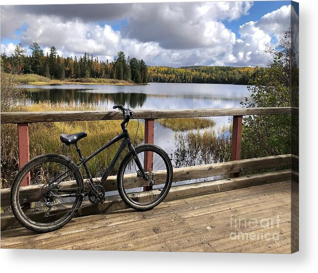 Bike Acrylic Print featuring the photograph Biking in Algonquin park by Diana Rajala