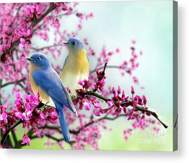 Bluebirds Acrylic Print featuring the digital art Bluebirds by Morag Bates