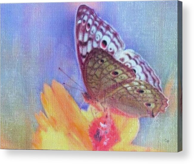 Butterfly Acrylic Print featuring the painting Butterfly Kisses by Cara Frafjord