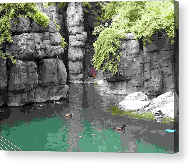 Central Park Zoo Acrylic Print featuring the mixed media Central Park Zoo by M Three Photos