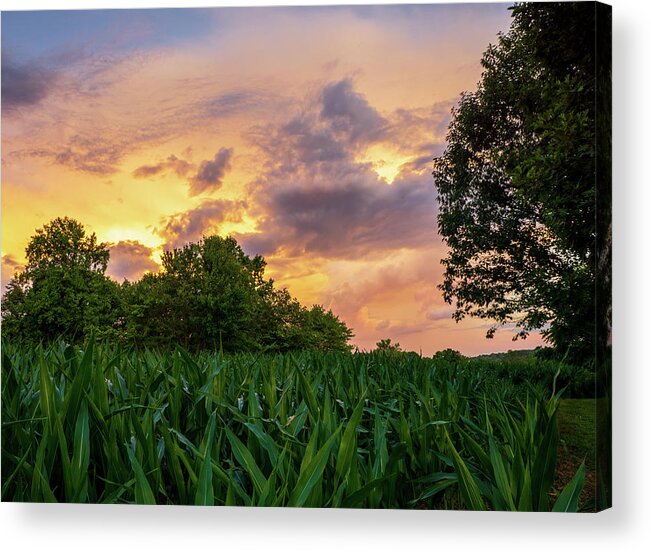 Sunset Acrylic Print featuring the photograph Country Sunset by Jason Fink