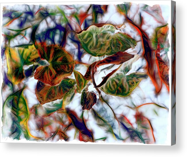 Abstract Acrylic Print featuring the photograph Dream Of A Leaftime by Wayne Sherriff