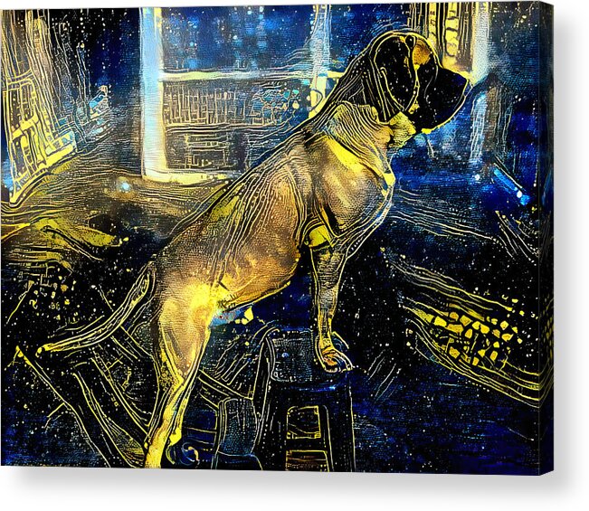 English Mastiff Acrylic Print featuring the digital art English Mastiff climbing a ladder - starry blue with yellow colorful painting by Nicko Prints