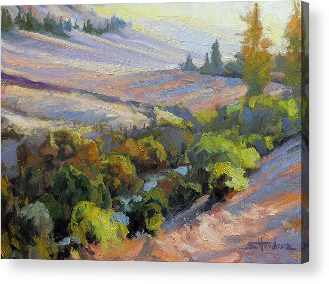 Landscape Acrylic Print featuring the painting Evening on the Patit by Steve Henderson