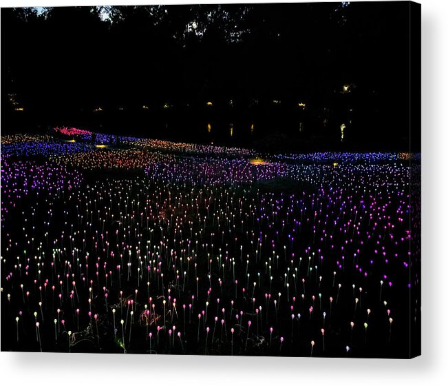 Field Of Light Acrylic Print featuring the photograph Field of Light #2 Longwood Gardens by Deborah League