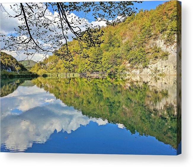 Plitvice Lakes Acrylic Print featuring the photograph Floating forest by Yvonne Jasinski