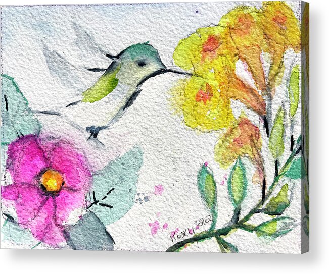 Hummingbird Acrylic Print featuring the painting Floaty Hummingbird 3 by Roxy Rich