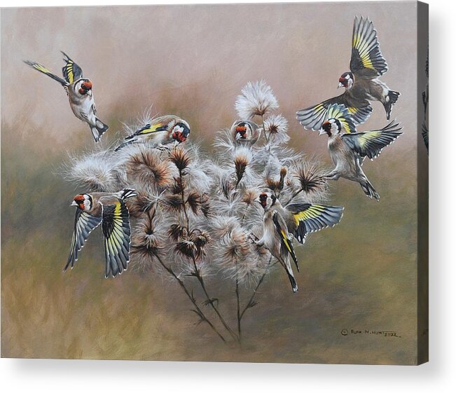 Finch Acrylic Print featuring the painting Flock of Goldfinches on Thistle by Alan M Hunt