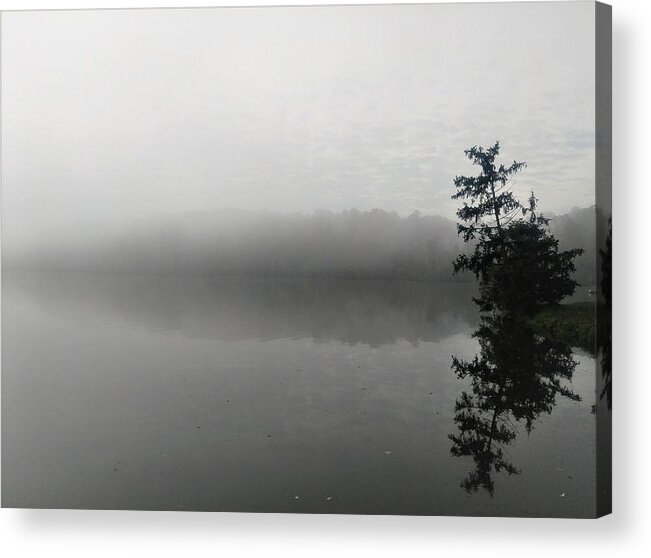  Acrylic Print featuring the photograph Foggy Morning Tree by Brad Nellis