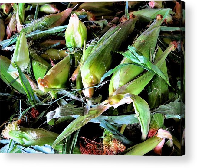 Corn Acrylic Print featuring the photograph Fresh Jersey Corn Ready for Shucking by Linda Stern
