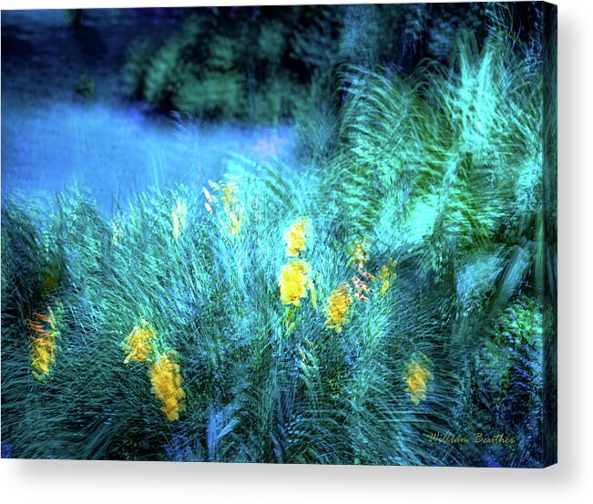 Impressionism Acrylic Print featuring the photograph Front Yard Impressions by William Beuther