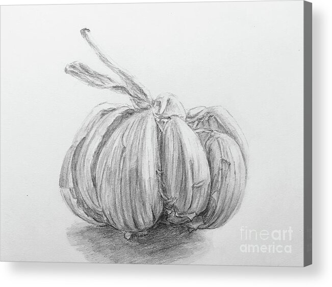 Graphite Pencil Drawing Of A Garlic Acrylic Print featuring the drawing Garlic Drawing by Lavender Liu