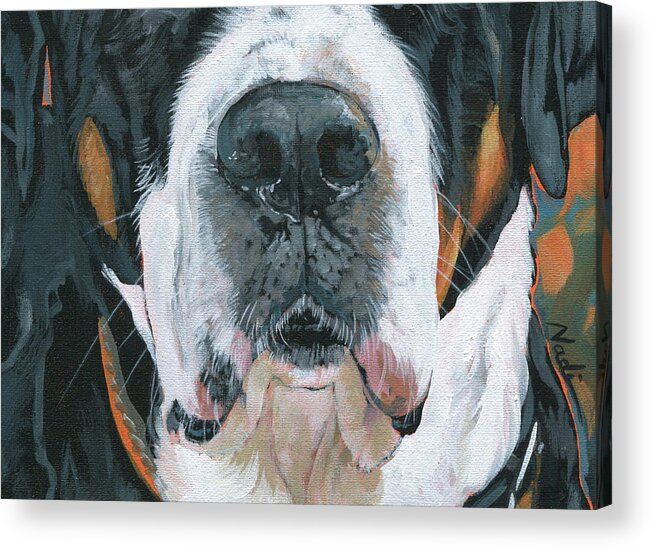 Greater Swiss Mountain Dog Acrylic Print featuring the painting Greater Swiss Mountain Dog Mask by Nadi Spencer