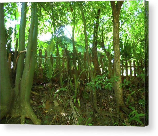 Trees Acrylic Print featuring the photograph Green House by Joe Roache