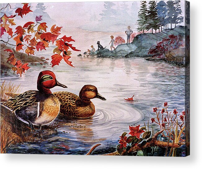 Ducks Acrylic Print featuring the painting Greenwinged Teal Ducks by Marilyn Smith